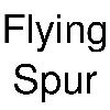 flying spur logosu