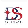 ds global logosu